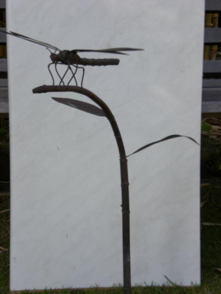 Libelle auf Pflanzenstengel