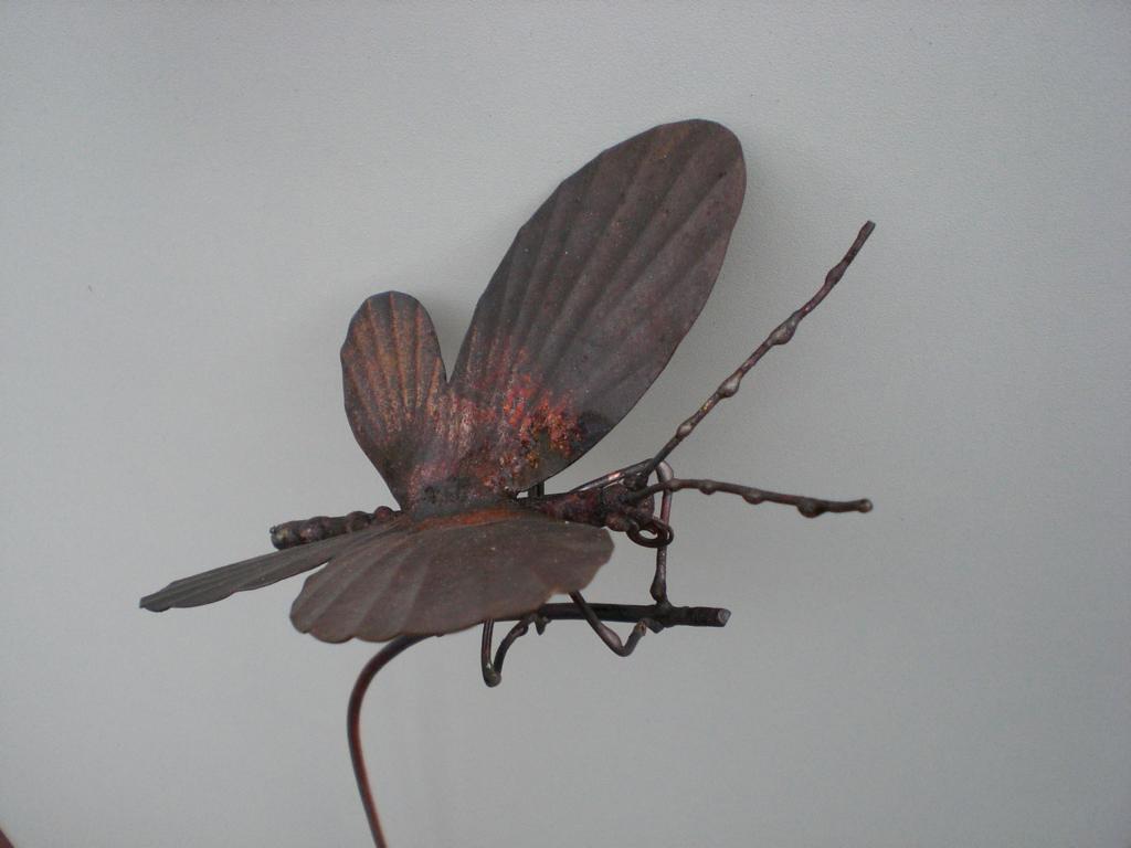 Schmetterling