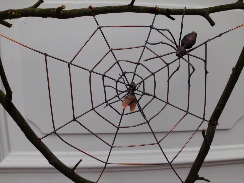 Spinnennetz